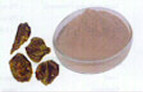 Garcinia Cambogia (Calcium Salt) (-) HCA  NLT    50%